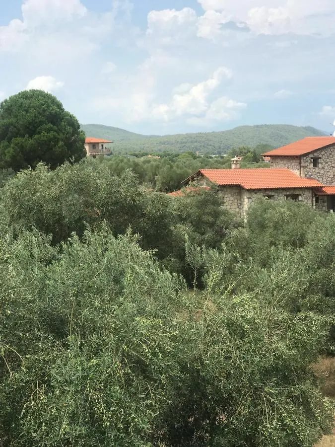 Appartamento Olivegrove House Vourvourou Grecia