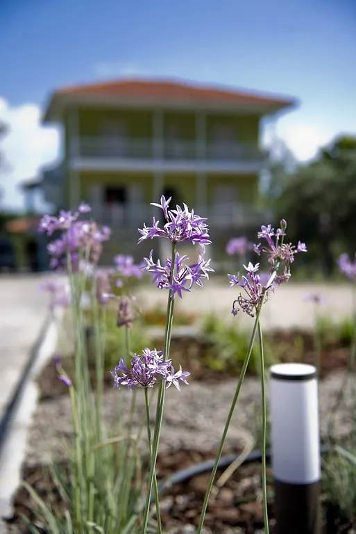 Olivegrove House Διαμέρισμα Βουρβουρού